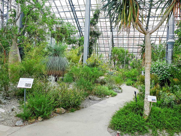 茨城　告白スポット　筑波実験植物園